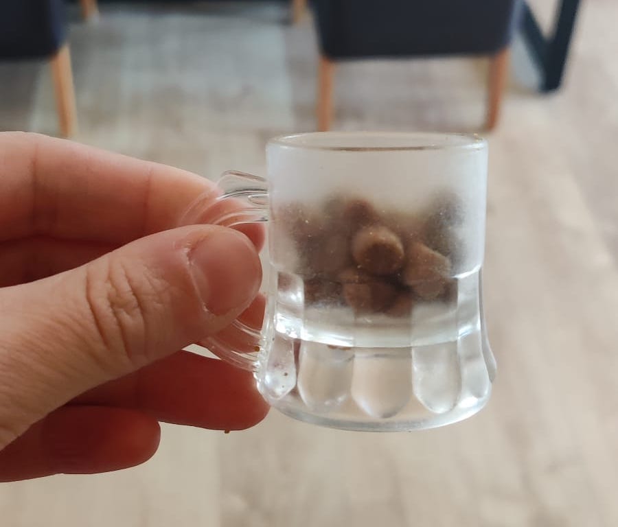 WhatsApp Image 2023-09-07 at 16.43.15.jpeg