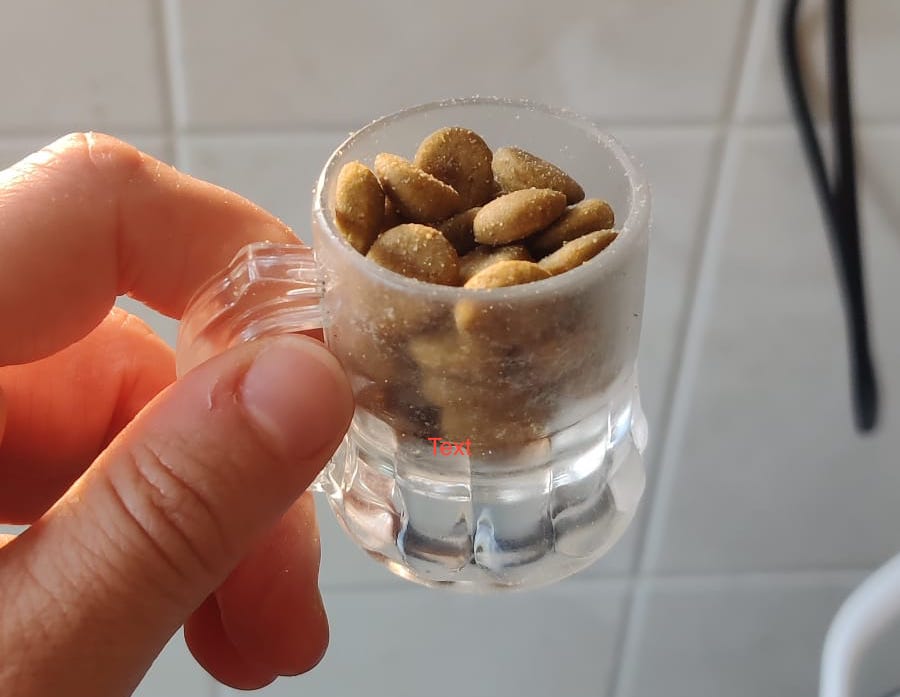 WhatsApp Image 2024-08-27 at 19.36.52.jpeg